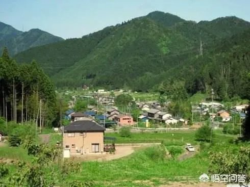 关于农业生产的俗语有哪些？