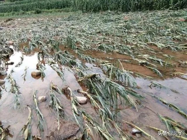 今年首个登陆我国的台风木恩要来了，对农民来说有哪些影响？