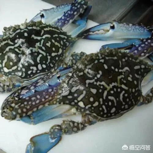 怎么挑选最鲜的海鲜？