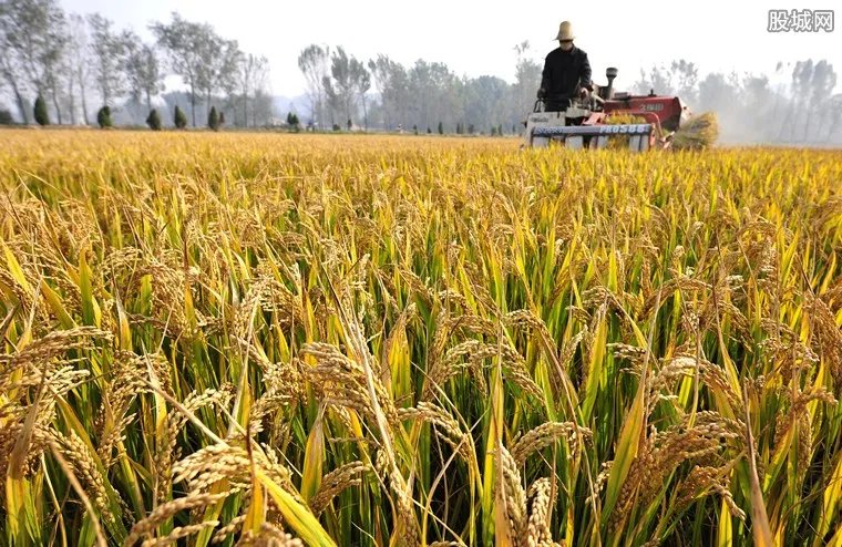 小麦最新价格 2018小麦价格行情走势预测