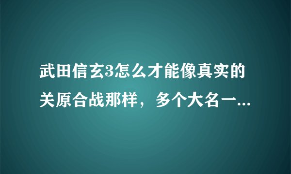 武田信玄3怎么才能像真实的关原合战那样，多个大名一起在一张地图上合战，我玩的只能两家作战