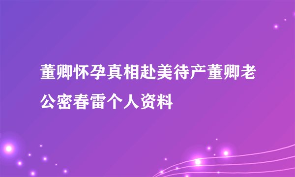 董卿怀孕真相赴美待产董卿老公密春雷个人资料