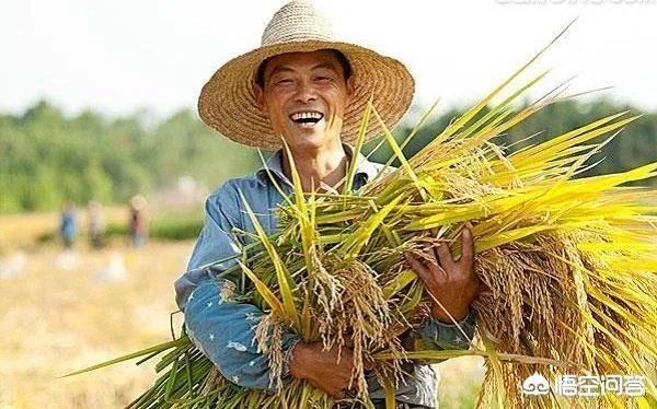 上联：万家灯火平安夜。如何对下联？