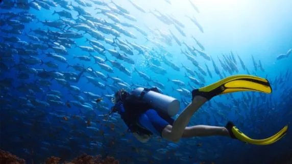 3名中国游客失踪在印尼潜水失踪 这究竟是怎么回事？