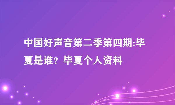 中国好声音第二季第四期:毕夏是谁？毕夏个人资料