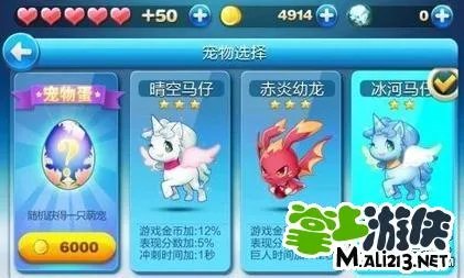 天天酷跑宠物大全最新版 最新宠物全图鉴