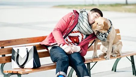 神犬小七结局什么意思？  揭秘最终大结局