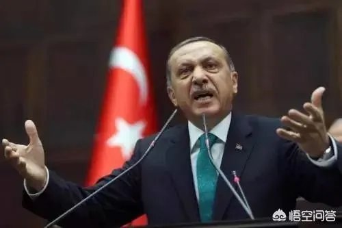怎样评判土耳其的橄榄枝军事行动一个月？