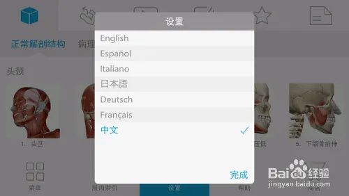 骨骼肌解剖visiblebody muscle中文版安装及设置