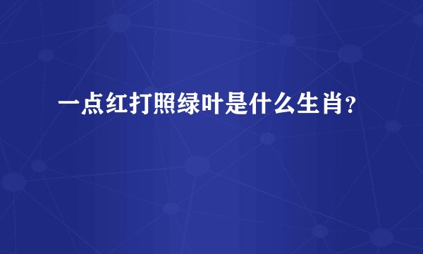 一点红打照绿叶是什么生肖？