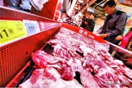 猪价全面暴跌！猪肉降入20元时代，10元猪肉还远吗？