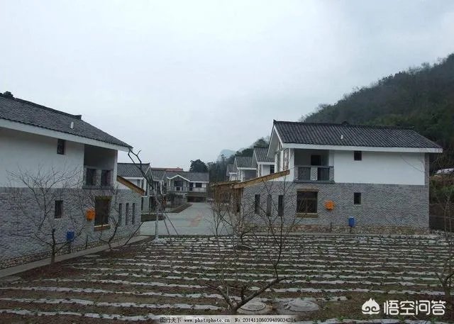 关于农业生产的俗语有哪些？