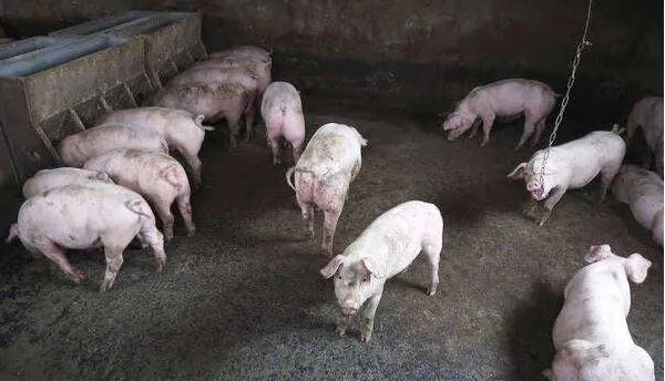 新型猪流感病毒，这种病毒看不见摸不着吗？