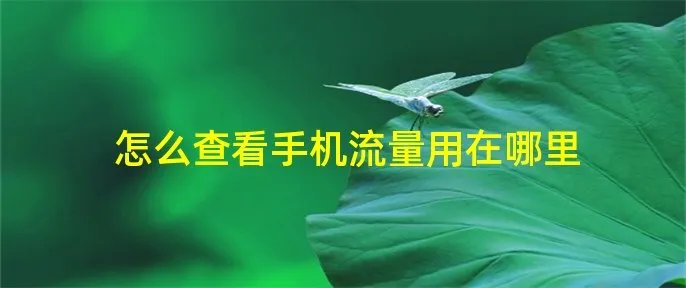 怎么查看手机流量用在哪里