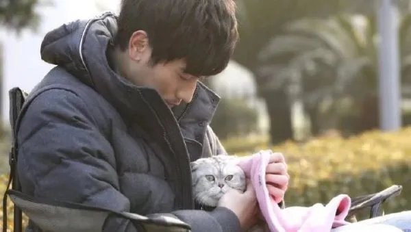 遇见王沥川评分为什么那么高