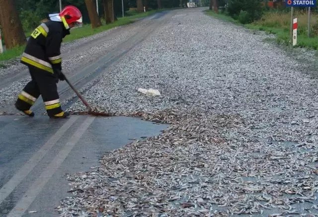 瑞士小镇下起巧克力雨，这是由什么原因引起的？