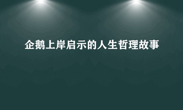 企鹅上岸启示的人生哲理故事