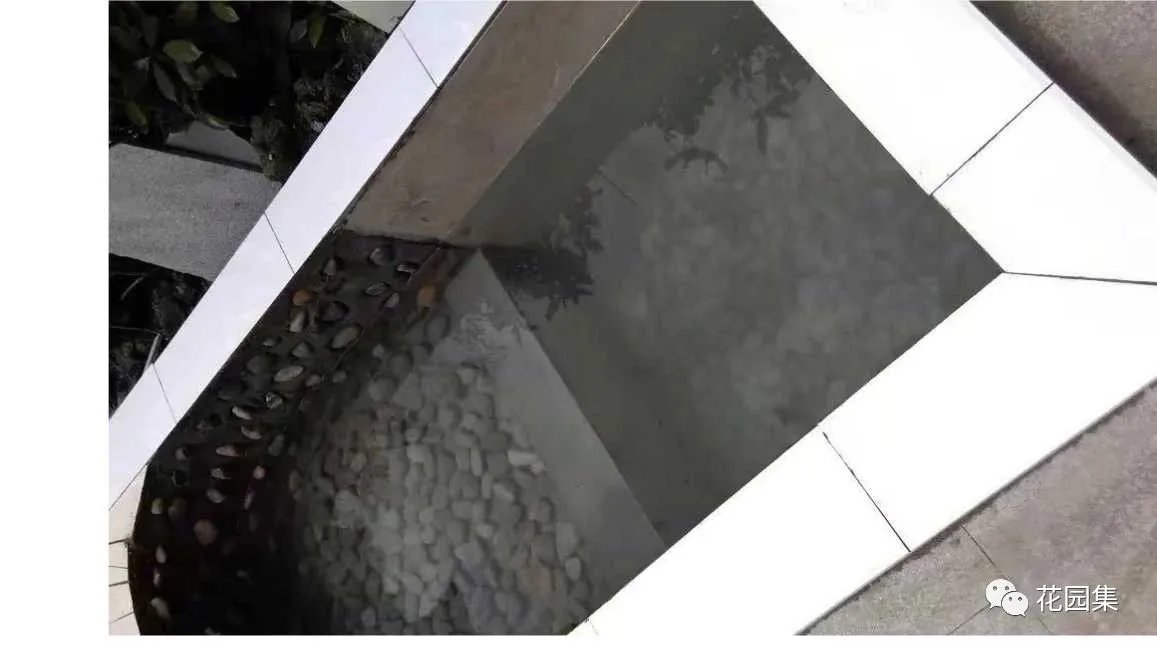 纯天然庭院鱼池打造攻略，生态、省心又实惠！赶紧收藏