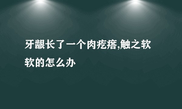 牙龈长了一个肉疙瘩,触之软软的怎么办