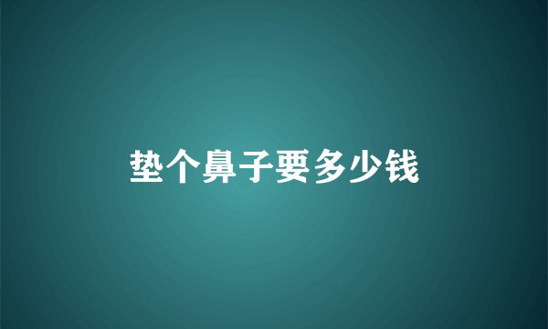 垫个鼻子要多少钱