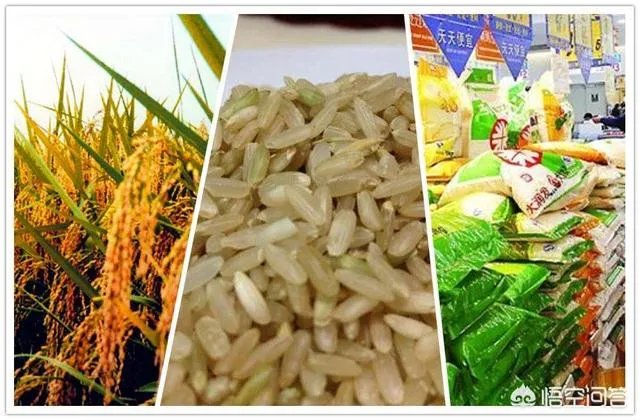 现在开个大米加工厂还有前景吗？