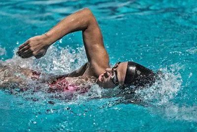 面对大巴车冲进水库时，我们应该如何自救？