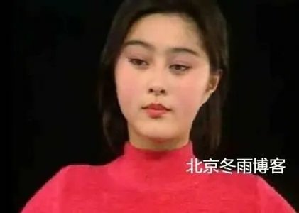 范冰冰有整容过吗