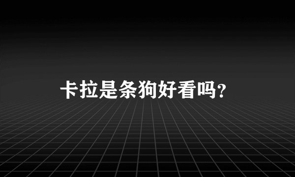 卡拉是条狗好看吗？