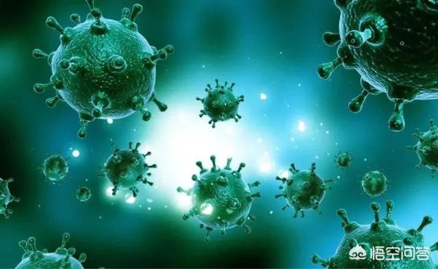 怎么看纽约州长说，病毒是从欧洲传入纽约州的？