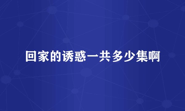 回家的诱惑一共多少集啊