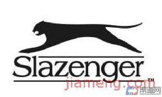 史莱辛格的简介