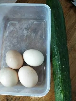 青瓜炒蛋
