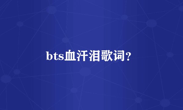 bts血汗泪歌词？