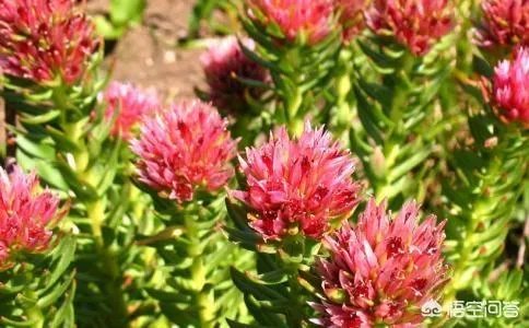 10月份骑行滇藏线，需要注意什么？