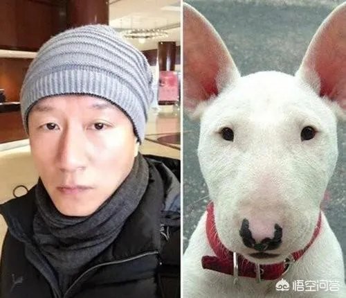 徐锦江回应撞脸“雷神”和“海王”，还有哪些中外明星的“撞脸”事件令人忍俊不禁？