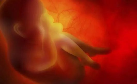 俄罗斯三代试管婴儿成功率如何计算