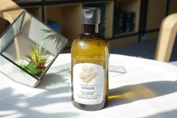 全球十大口碑最好的洗发水：箭牌上榜，日本仅一款