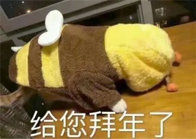 拜年给您拜回去表情包