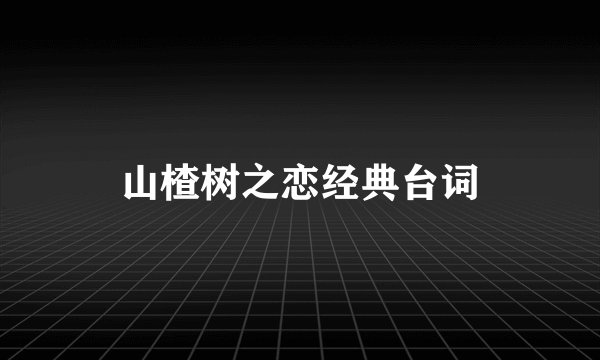 山楂树之恋经典台词