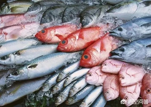 怎么挑选最鲜的海鲜？