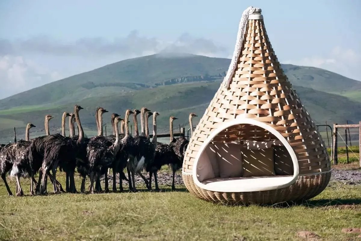 他把家具拍成了时尚大片的格调，香格里拉、四季等国际酒店都是它的忠实客户