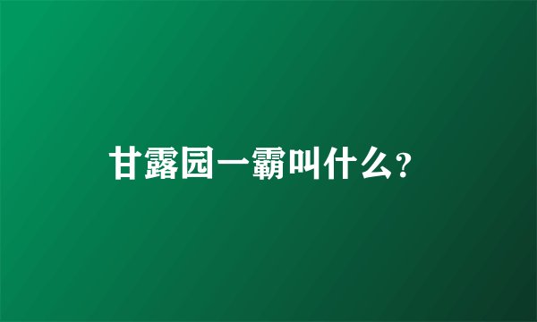 甘露园一霸叫什么？