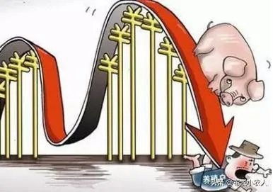 猪价全面暴跌！猪肉降入20元时代，10元猪肉还远吗？