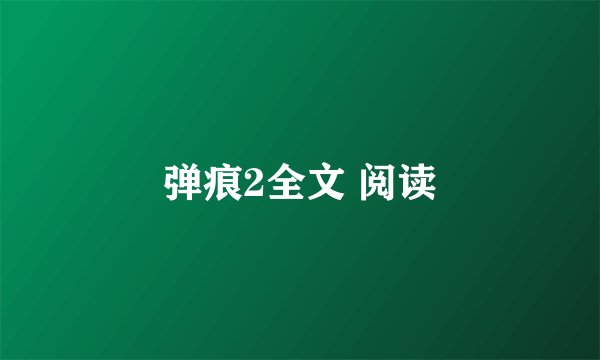 弹痕2全文 阅读