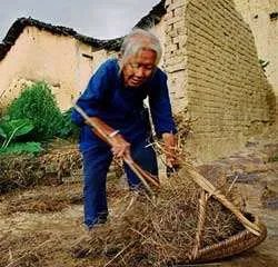 84岁大爷深夜卖菜，没有养老金的农村老人该如何养老？