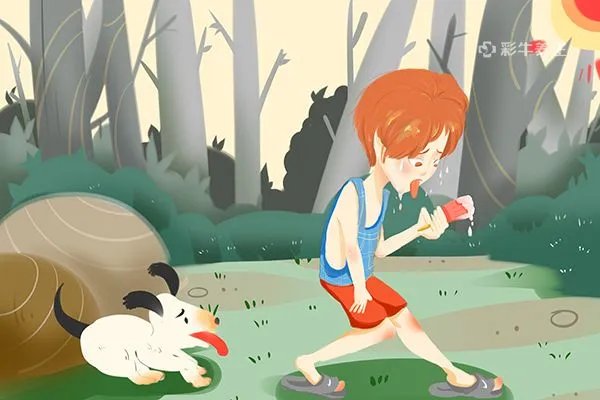 今年什么时候入伏是哪一天