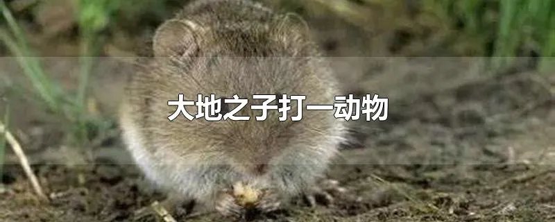 大地之子打一动物
