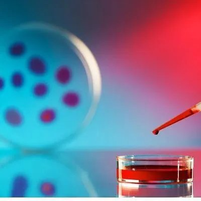 肾囊肿饮食方法