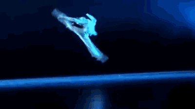 你们的偶像是谁?