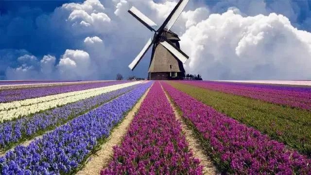 安庆怀宁县的基本概况是怎样的呢？